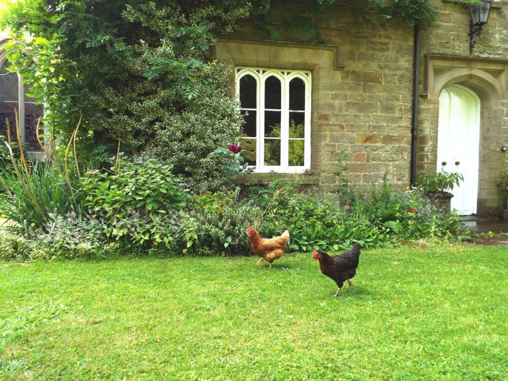Old Vicarage B&B Coleford  Exterior photo